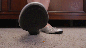 Jolene Hexx’s stepbrother has shrunk himself and it's up to Jolene to find out where he is. She stomps into the room, looking for her stepbrother. She walks around, staring at her phone, texting her friends, thinking about where he could be - coming close to stomping on him a few times. Then she sees something on the floor - thinking it's a bug she raises her foot but realizes that it's not a bug but her teeny, tiny shrunken little step-brother. She stands directly above him, wondering why he would shrink himself. She finds him staring at something - her feet. She puts it all together, he shrunk himself to get closer to her feet. She can’t believe it but decides to tease and humiliate him as she slowly takes off her shoes. Then she thinks about how useful he could be as her tiny foot slave. She makes him lick, kiss, and worship her bare feet. At the end, she puts him in her shoes and slides them back on and walks out of the scene