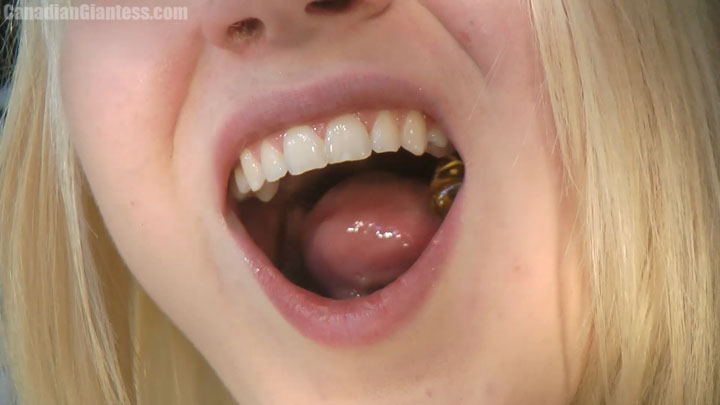 In this final vore vid featuring Sara Sundae, she has a bunch of people from school in the palm of her hand. Featuring a great selection of advanced slow-mo scenes as they're tormented by her mouth as she plays around with them. Sucked between her lips, squeezed between her teeth, and lolled around on her tongue, no one stands a chance of surviving against her.
